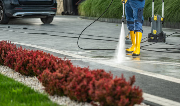 Deck Cleaning Services in Silver Lake, FL