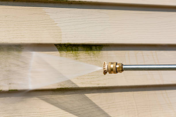 Best Exterior Home Cleaning  in Silver Lake, FL